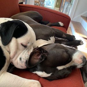 Meet your Posher, Kaelyn